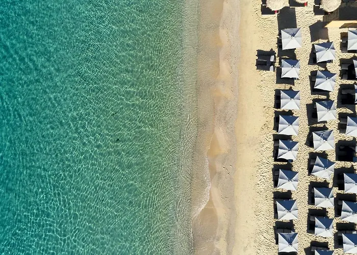 Royal Myconian - Leading Of The World Rezort